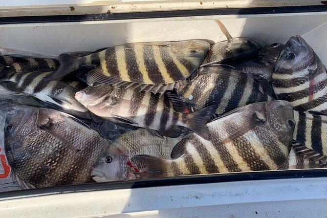 St. Augustine Fishing Charter-23' - Key Points