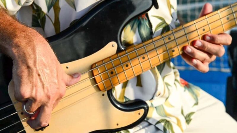 St.Augustine: Halloween Boo Bash Sunset Sail with Live Music - Who This Tour Is Perfect For