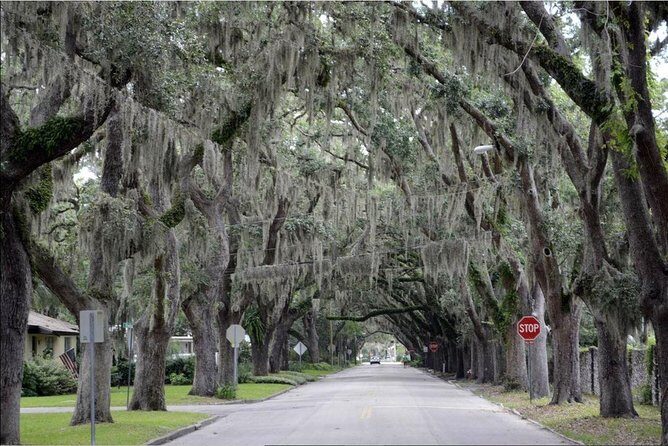 St. Augustine Hop-On Hop-Off Trolley Tour - FAQ