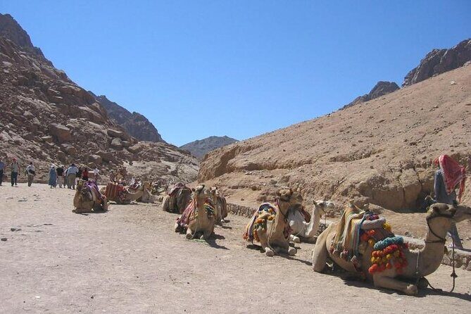St Catherine Monastery and Mt Sinai Sunrise Tour from Dahab - An In-Depth Look at the Tour