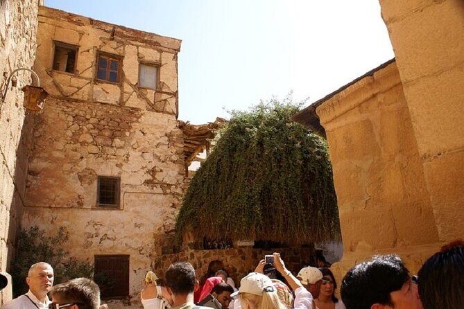 St Catherine Monastery & Moses Mountain Transfer - Sharm Elsheikh - Price and Value: Is It Worth It?