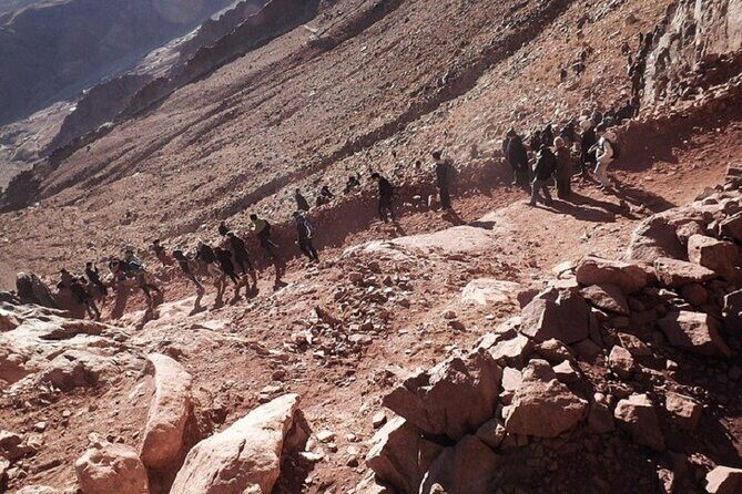 St Catherine Monastery & Moses Mountain Transfer - Sharm Elsheikh - FAQ
