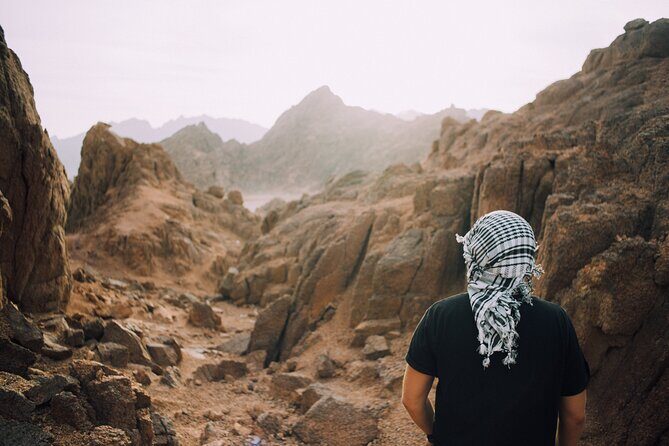 St. Catherine & Moses Mountain Sunrise Bus Tour with Breakfast - Key Points