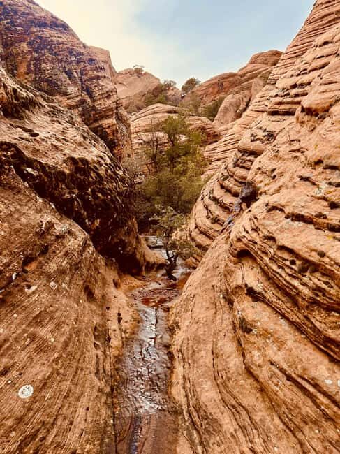 St. George: Jeep Exploration Slot Canyon & Rock Formations - The Guided Slot Canyon Walk