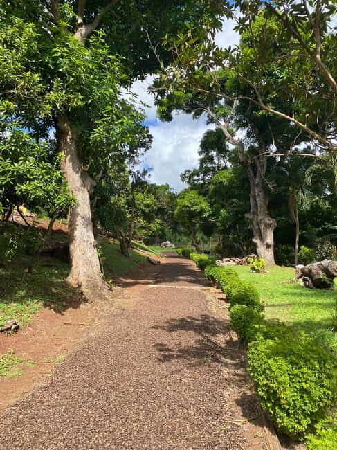 St. George's: Half-day spice and waterfall tour - Key Points