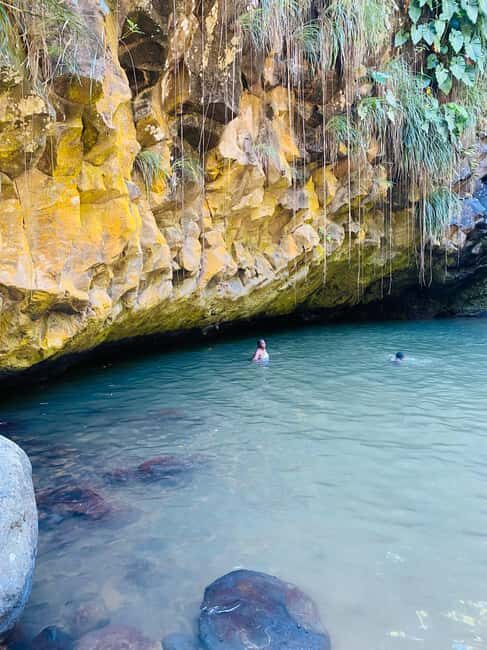 St. George's: Half-day spice and waterfall tour - Authentic Experiences and Authenticity