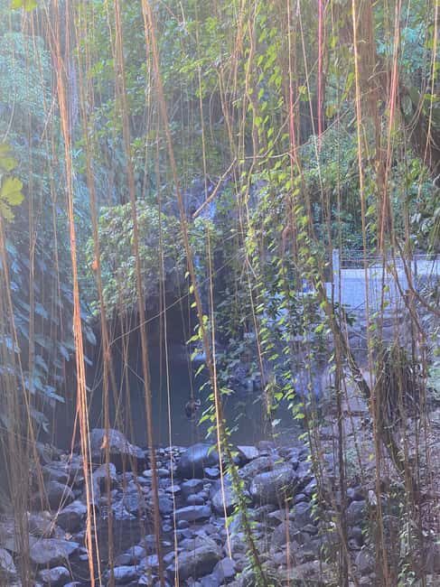 St. George's: Half-day spice and waterfall tour - Practical Tips for Travelers