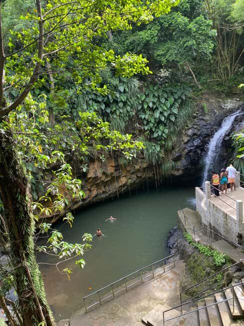 St. George's: Half-day spice and waterfall tour - Who Will Love This Tour?