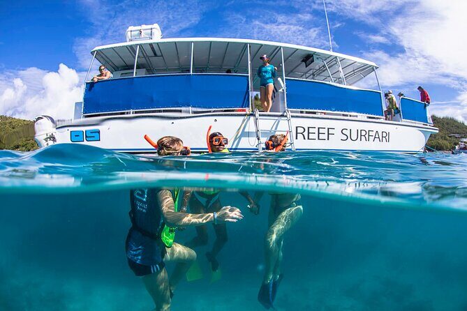 St. James Snorkel & Pizza Pi Lunch - Why This Tour Is a Great Choice