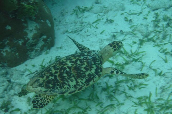 St John & Surrounding Cays - Full-Day Sail/Snorkel, 6 Guests Max - FAQ