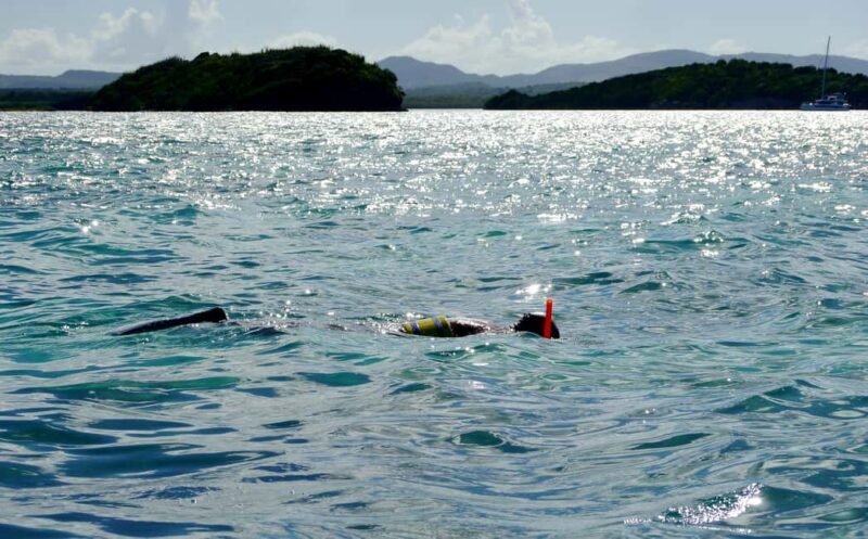 St. John's, Antigua Kayak, Snorkeling, & Beach Bird Island - Key Points