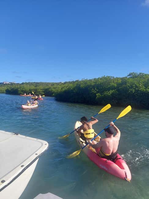 St. John's, Antigua Kayak, Snorkeling, & Beach Bird Island - Exploring the Itinerary: What You Can Expect