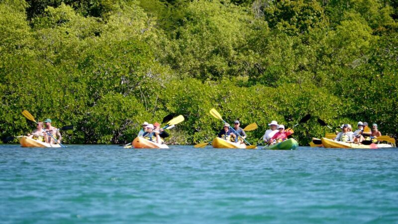St. John's, Antigua Kayak, Snorkeling, & Beach Bird Island - Who Will Love This Experience?