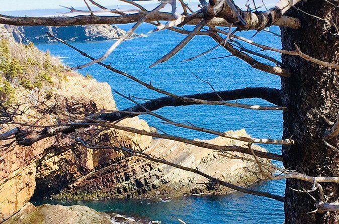 St. John's Coastal Hike with Top Local Guide Deneen - The Sum Up: Who Is This Tour Best For?