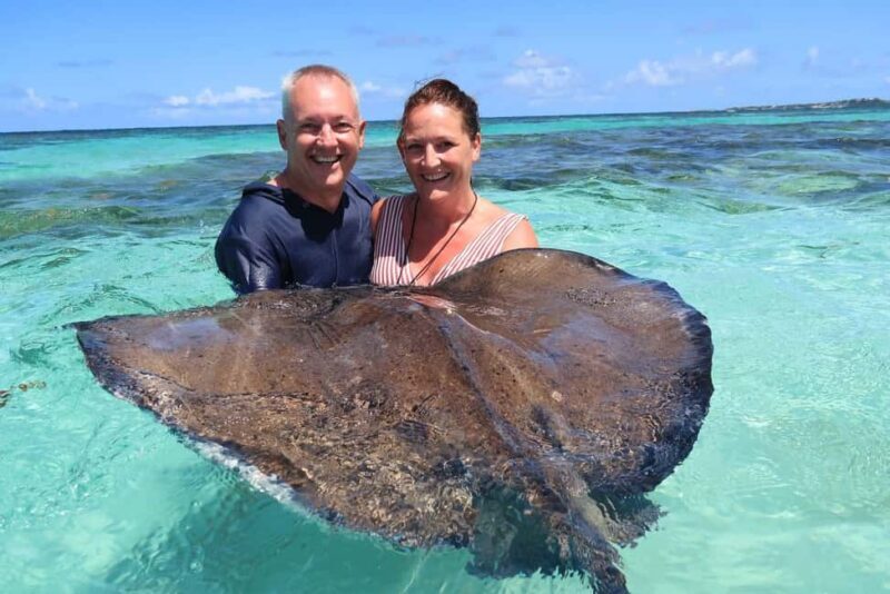 St. John's; Combo Laviscount Island & Swimming with Stingray - Key Points