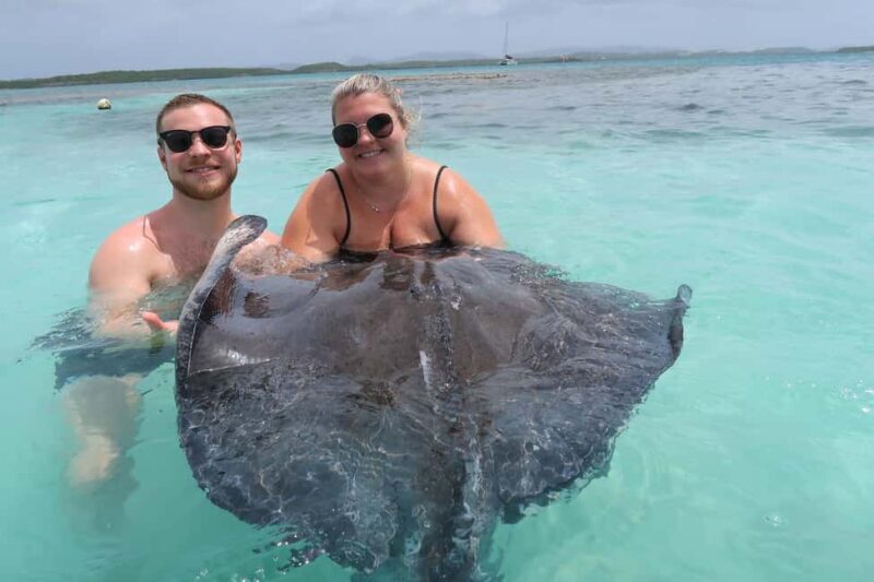 St. John's; Combo Laviscount Island & Swimming with Stingray - What Sets This Tour Apart?