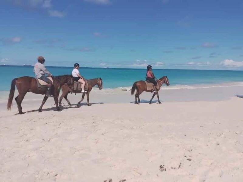 St. Johns: Horseback Riding Bareback Swim, &Fort James Beach - An In-Depth Look at the Experience