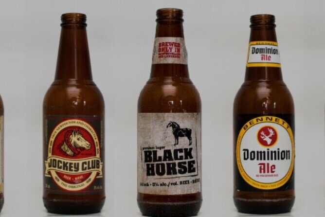 St. John's Local Pub Tour & History Lesson - Authentic Stories and Local Characters