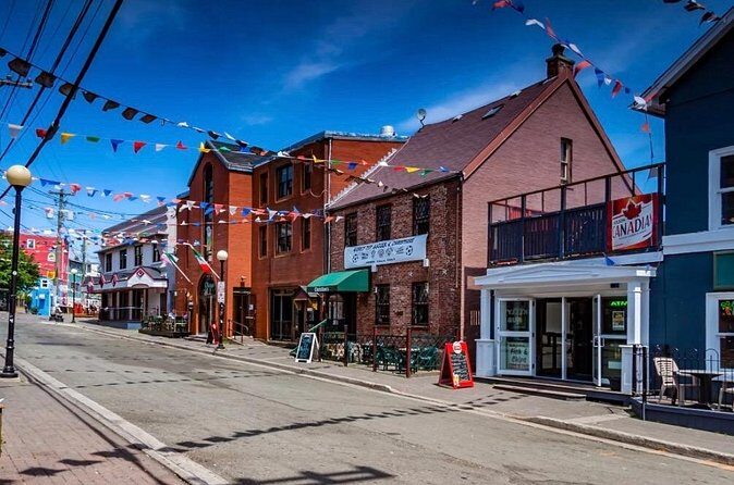 St. John's Local Pub Tour & History Lesson - Who Should Consider This Tour?
