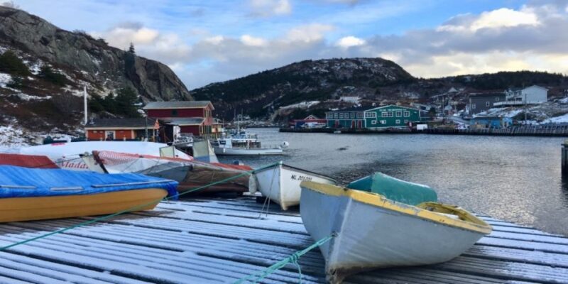 St Johns Premium Tour with Iceberg Quest Boat Cruise - Final Thoughts: Who Will Love This Tour?