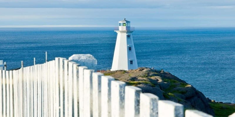 St Johns Premium Tour with Iceberg Quest Boat Cruise - Final Word