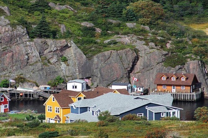 St. John's, Quidi Vidi Village & Signal Hill Small Group Tour - Who Would Love This Tour?