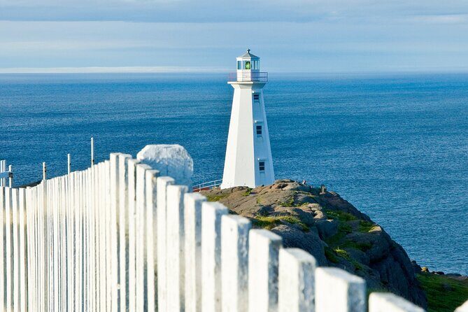 St. John's, Quidi Vidi Village & Signal Hill Small Group Tour - Final Thoughts