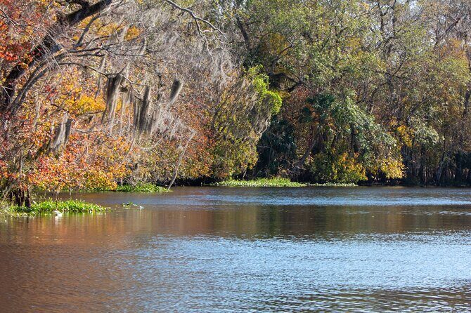 St. Johns River Cruise - Blue Spring State Park - Wildlife Encounters and Expectations