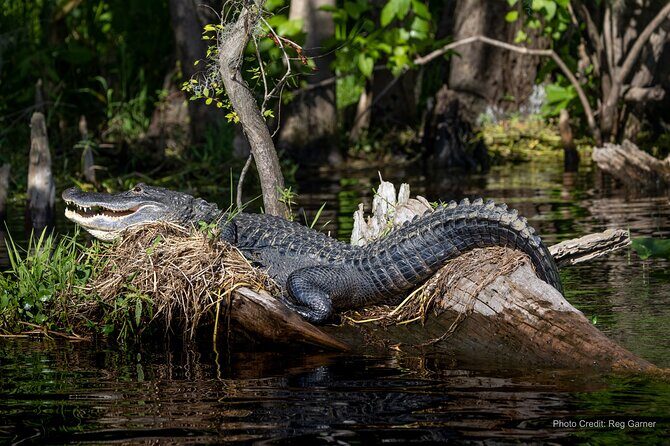St. Johns River Lunch and Dinner Cruises in Sanford, Florida - Logistics and Practicalities