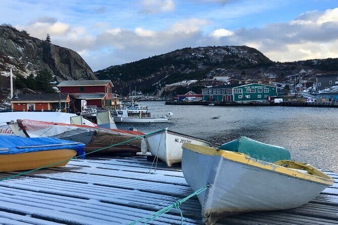 St. Johns Small Group Tour with Iceberg Quest Boat Cruise - Frequently Asked Questions