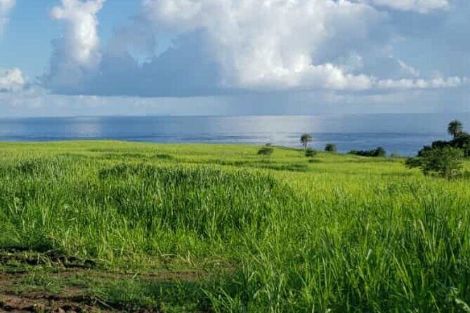 St Kitts 360 Island Sightseeing Tour - The Sum Up