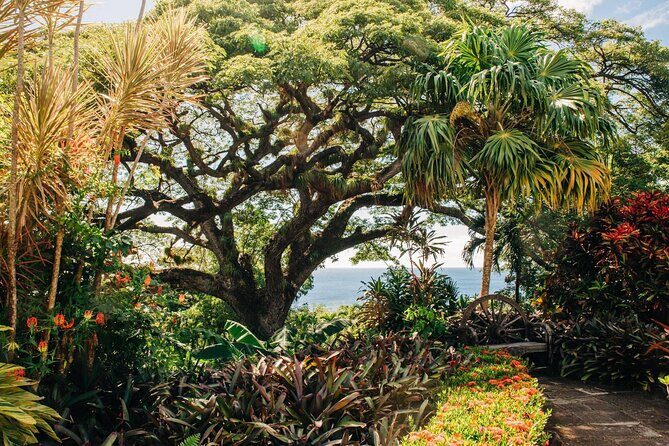 St. Kitts Full Island Excursion - An In-Depth Look at the Saint Kitts Full Island Excursion