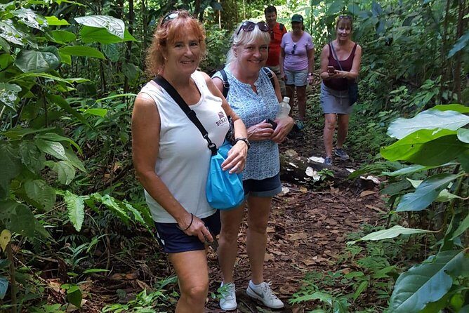 St Kitts Half-Day Rainforest Tour - What is the St. Kitts Half-Day Rainforest Tour?