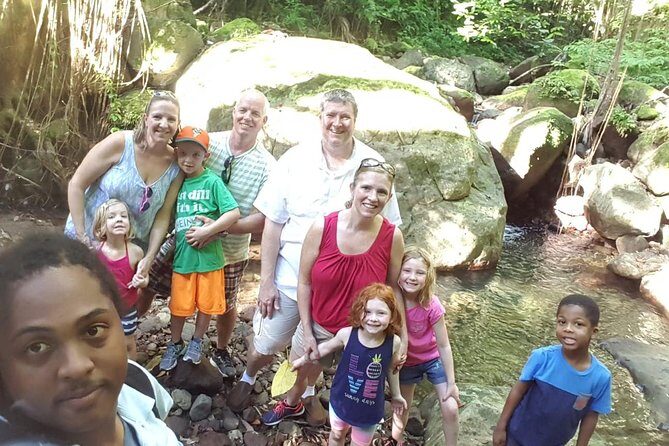 St Kitts Half-Day Rainforest Tour - What Past Travelers Say