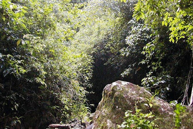 St. Kitts Half-Day Rainforest Tour - Final Words