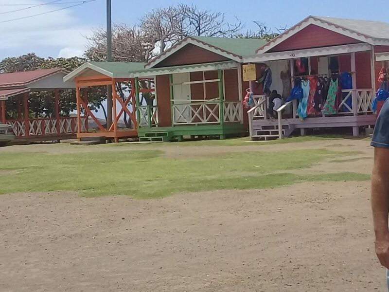 St. Kitts Island Half-Day Bus Tour - Key Points