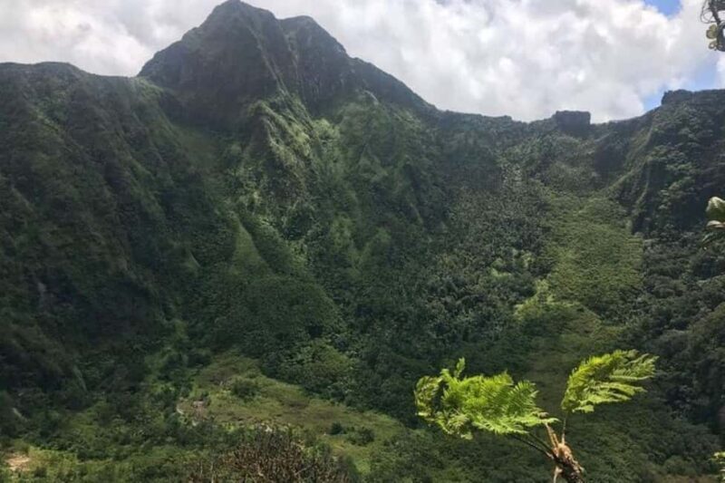 St Kitts: Jungle Bikes Off-Road ATV Tour - The Authenticity and Educational Value