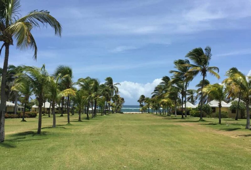St. Kitts: Nevis Island Tour and Beach Time with Lunch - The Beach and Lunch Break