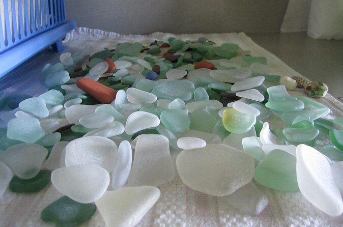 St.Kitts Sea Glass & Volcanic Black Sand Beach Day - Who Should Consider This Tour?