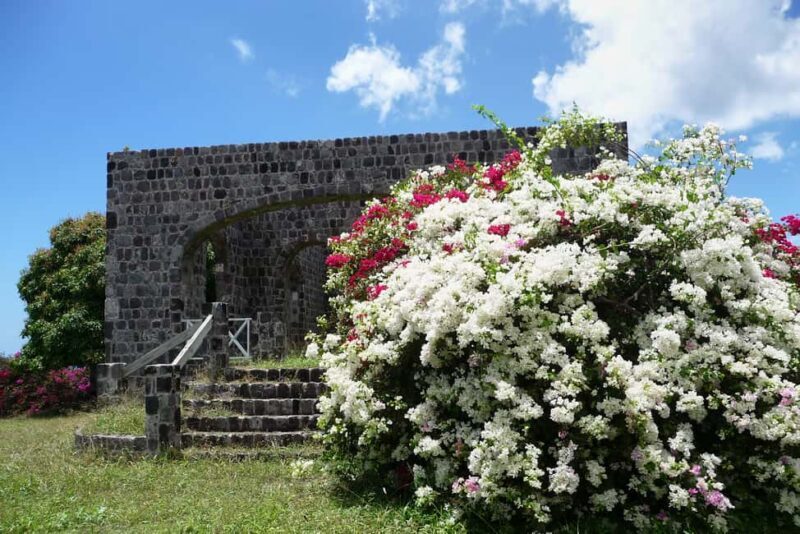St. Kitts: Top Sights Guided Van or Open-Air Safari Tour - Transportation and Duration