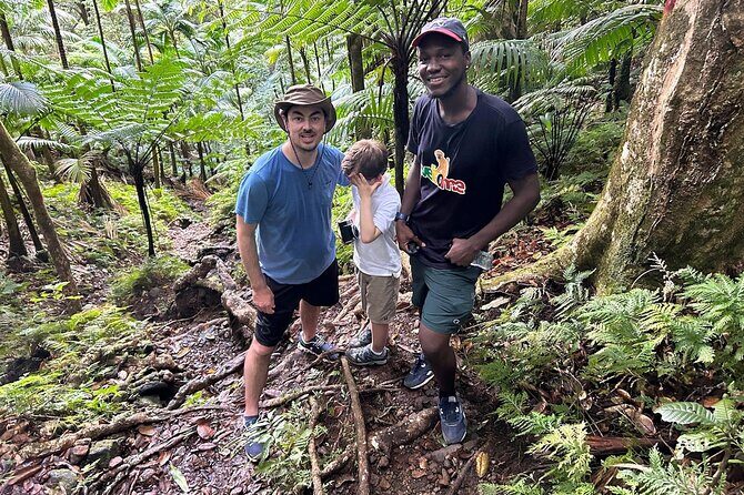 St.Kitts Volcano Hike To Mt. Liamuiga (Highest Peak On Island) - The Experience: What Travelers Say