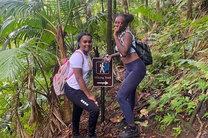 St.Kitts Volcano Hike To Mt. Liamuiga (Highest Peak On Island) - The Value for Money