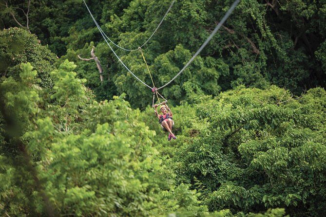 St. Kitts Zipline Experience - What Makes This Tour Special?