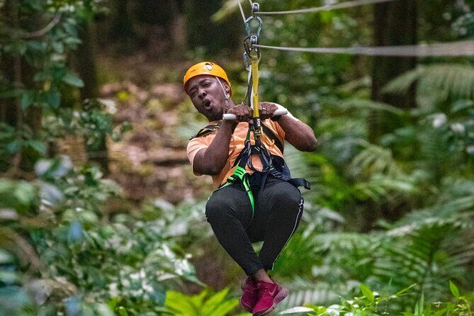 St. Lucia 3 in 1 Combo: Aerial Tram, Rainforest Trail & Zipline - Key Points