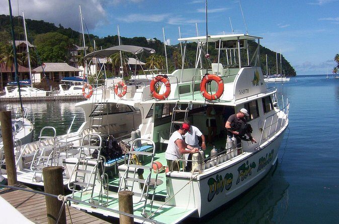 St Lucia Beginner Scuba Diving Tour - Discovering the Experience: What You Can Expect