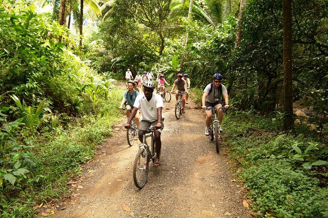 St Lucia Bike and Hike - A Deep Dive into the Tour Experience