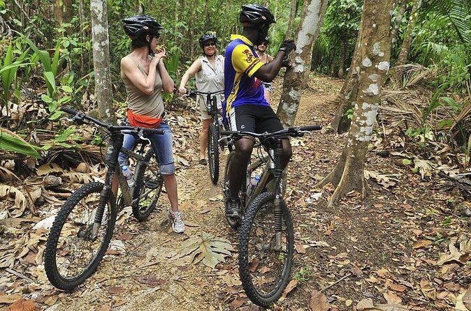 St Lucia Bike and Hike - The Realities from Travelers’ Reviews