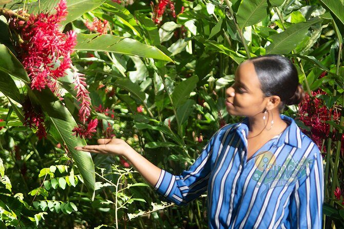 St. Lucia Botanical Gardens and Waterfall Tour Groups only - The Sum Up