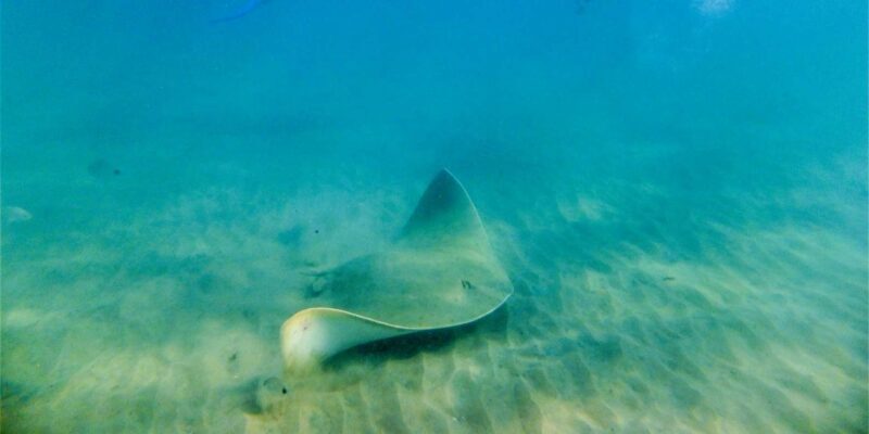 St. Lucia: Cape Vidal Snorkeling Adventure - The Overall Experience: Value and Authenticity