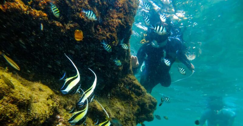 St. Lucia: Cape Vidal Snorkeling Adventure - FAQs